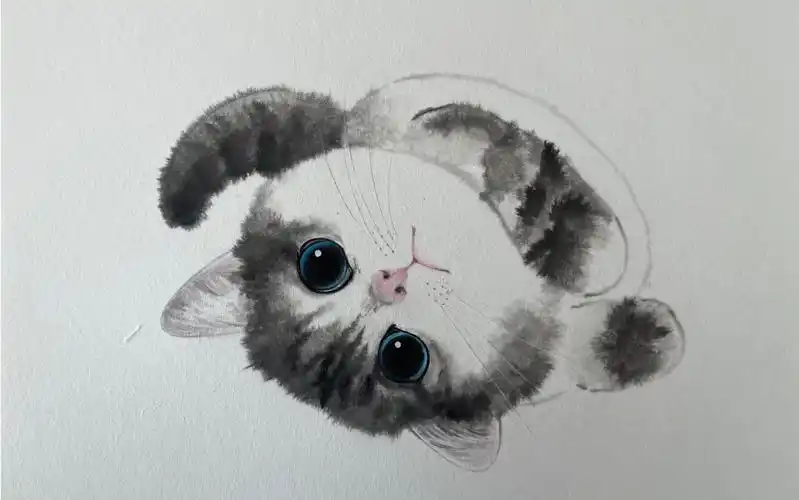 国画猫咪 水墨写意 猫咪