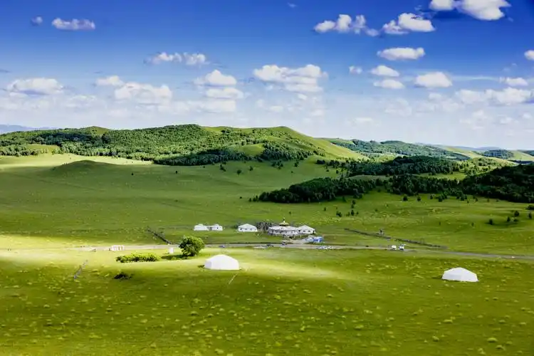 八月草原——记忆