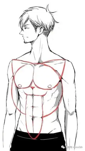 插画教程|男士肌肉绘画素材参考,想学习的同学快快码住吧