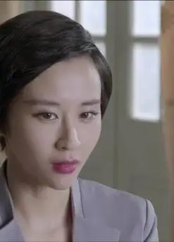 贾一平,邵峰,李依蔓(演员)主演的谍战,战争,近代电视剧-危机迷雾-完整