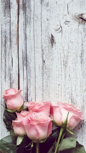 高清壁纸在线更新简约 _ 小清新壁纸 壁纸 摄影 小清新 文艺 意境