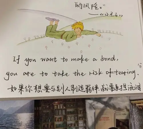 热爱可低岁月漫长|《小王子》