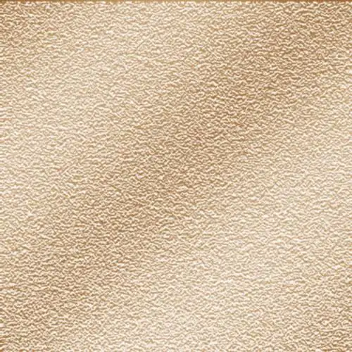 ps这个字体纹理 求步骤