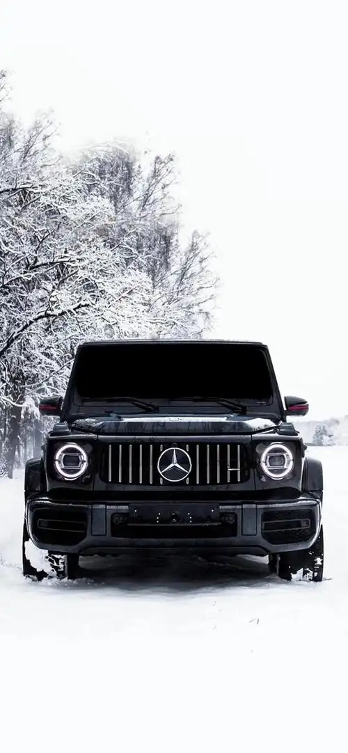 感情图片唯美文字图片(情感语录高清壁纸唯美图片全屏屏保无水印动漫