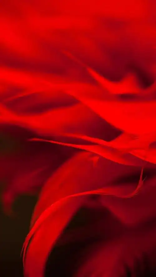 爱您中国红三题