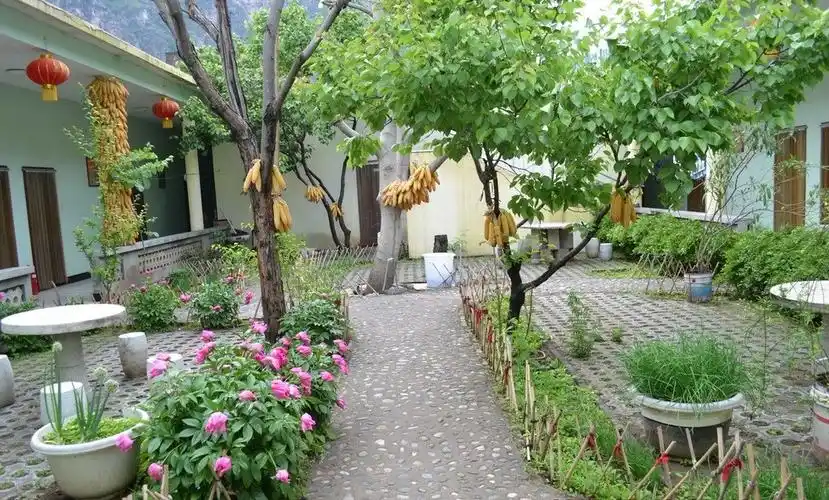 国内这个院子火了!80后放弃深圳120㎡大居室,却回乡下住院子?