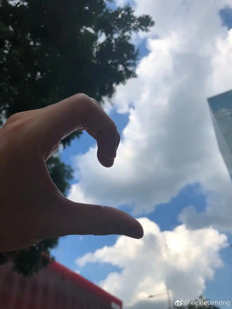 看手辨人 准ic你可以吗!