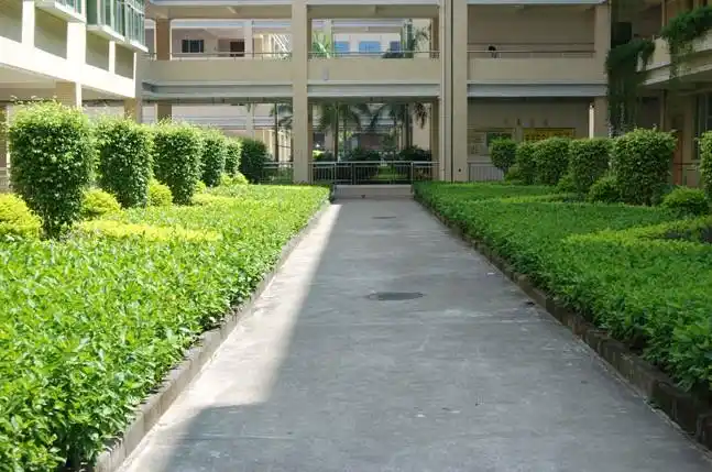 深圳市龙岗区南联学校