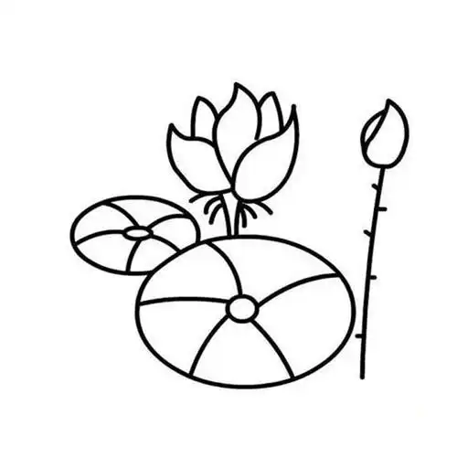 漂亮的莲花简笔画 荷花简笔画 - 儿童简笔画大全