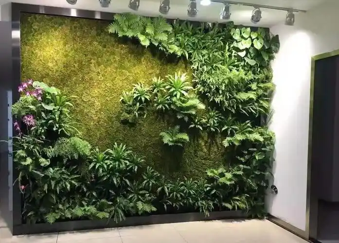 不同的室内环境如何选择合适的绿植墙做法|公司新闻 - 深圳市远岫生态