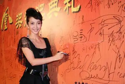 《云水谣》获大满贯 李冰冰捧电影表演学会大奖