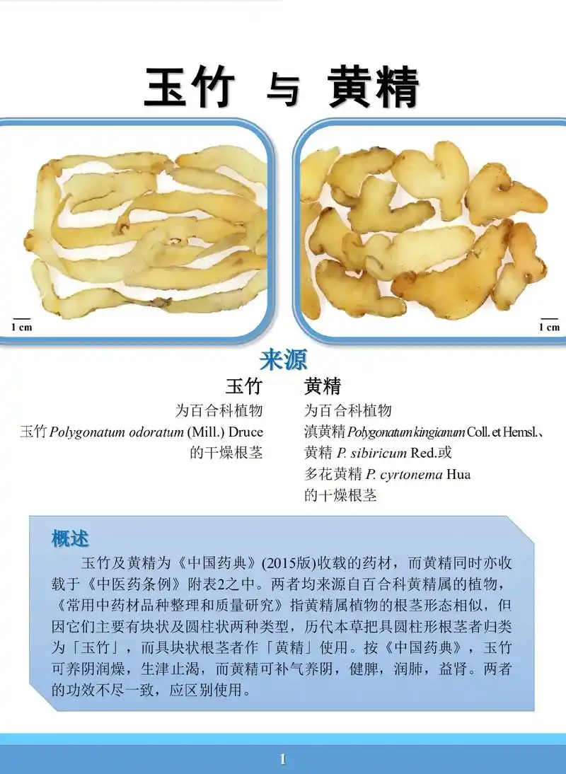 易混淆药材外观与显微鉴定——#玉竹 与 #黄精 #萌知计划  - 抖音
