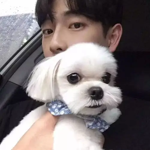 头像让我们红尘做伴吃的白白胖胖