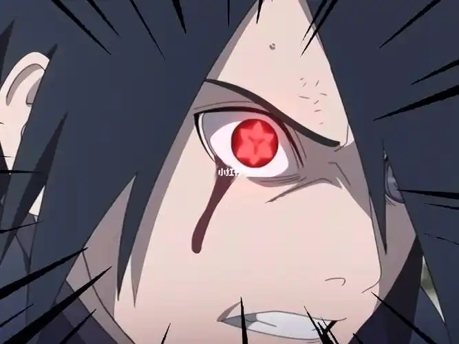 火影忍者   #鸣人   #佐助   #卡卡西  火影忍者:天照不愧为最强卫眄