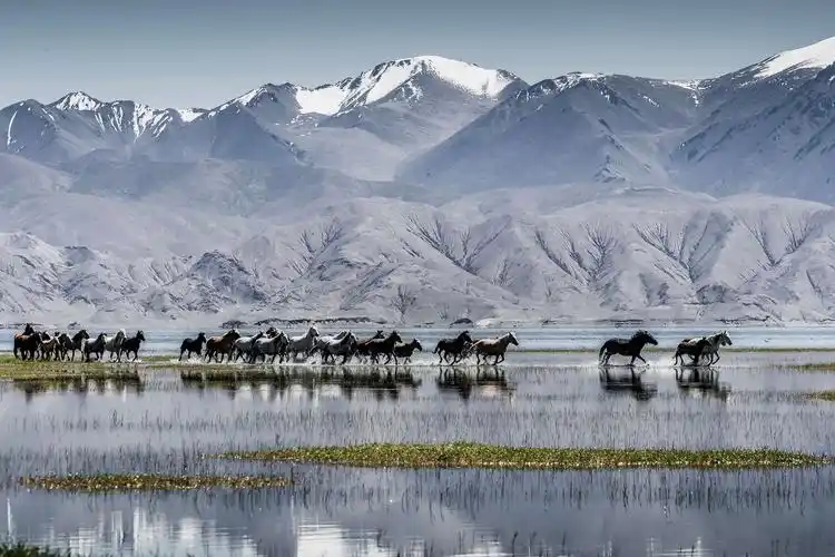 雪域高原自驾行(一)