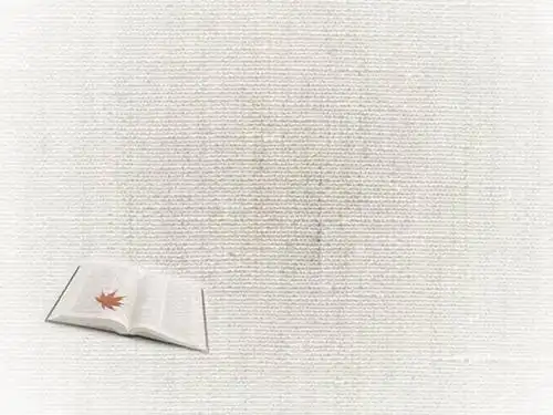 简洁白色书本课本幻灯片背景模板ppt模板素材免费下载