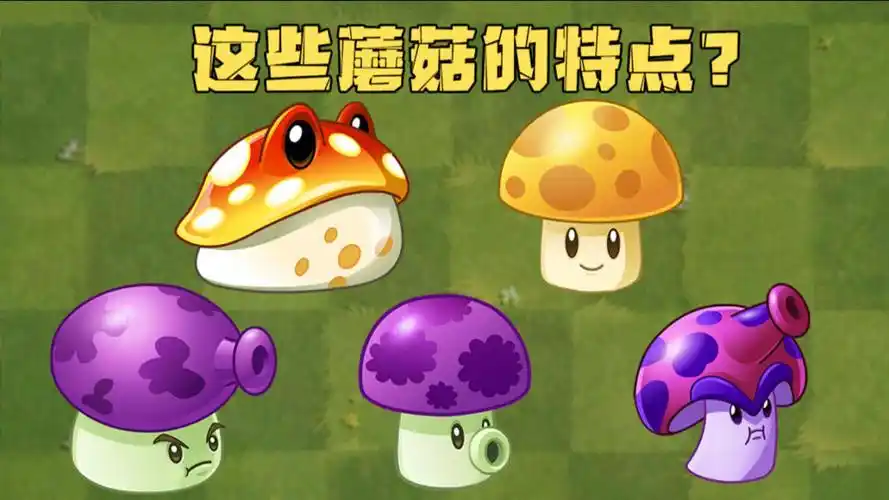 植物大战僵尸:大家更喜欢植物大战僵尸中哪个蘑菇呢?