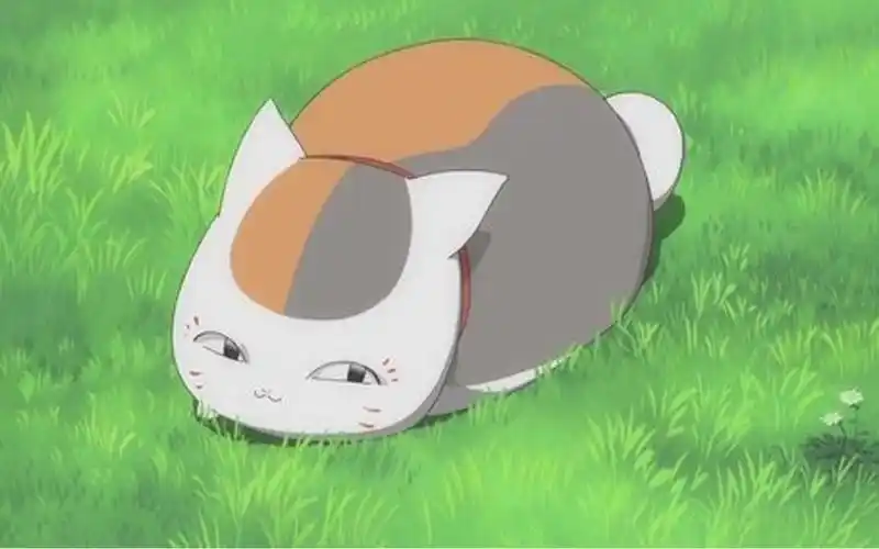 夏目友人帐猫咪老师