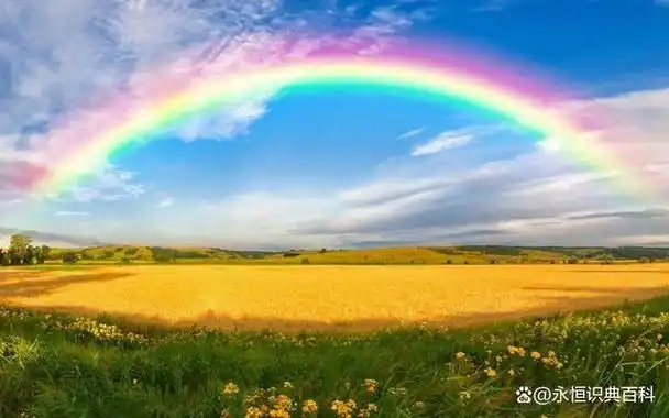彩虹,是自然界中令人神往的美景之一.