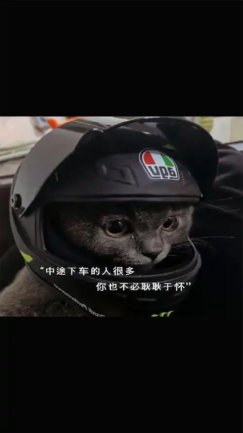 朋友圈背景文字控高清手机壁纸