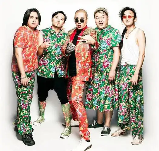 闹大了,网友直呼:"二手玫瑰,请退出《歌手2024》"|乐队|梁龙|崔健