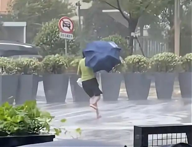 台风来袭,上海一女子被强风吹着跑,目击者:跑着跑着就摔倒在地