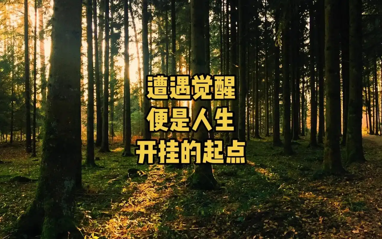 开挂的起点遭遇觉醒便是人生