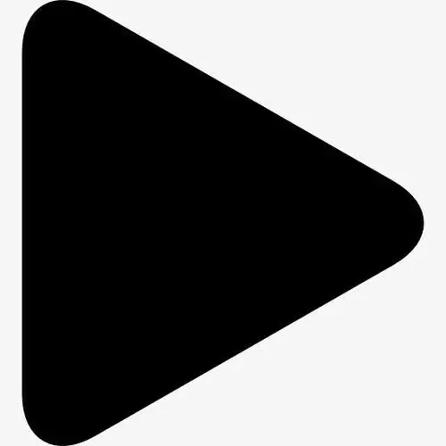 播放按钮箭头图标