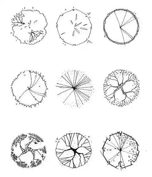 再懒也能画好景观树平面,学起来!