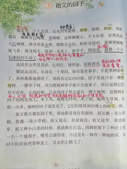 祖父的园子课堂笔记