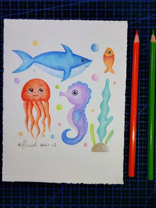 手绘彩铅06|简笔画|海洋生物|海底世界