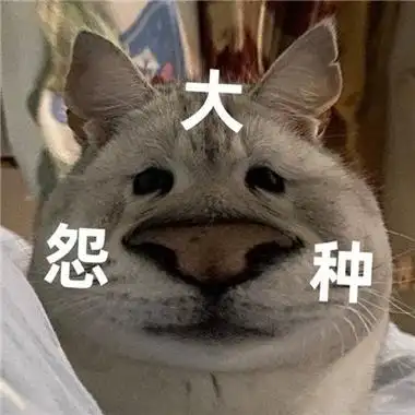 大怨种表情包合集超级有趣 很贱很欠揍的表情包-qq个性网