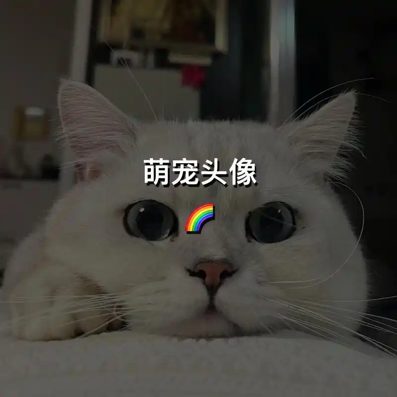 萌宠头像 | 为了讨口饭吃,只能卖可爱了.#猫咪头像 #小猫 - 抖音