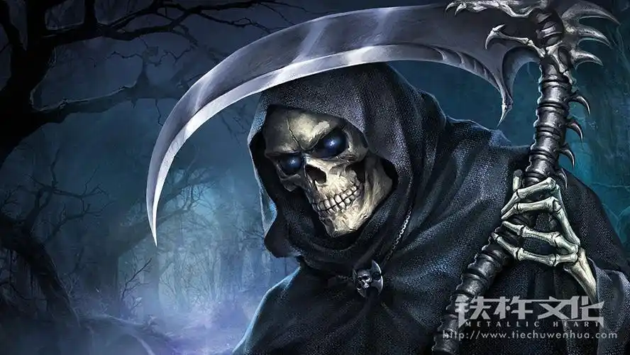 死神来了骷髅岛