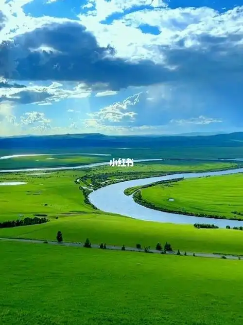 这个季节也能看到夏天的呼伦贝尔大草原