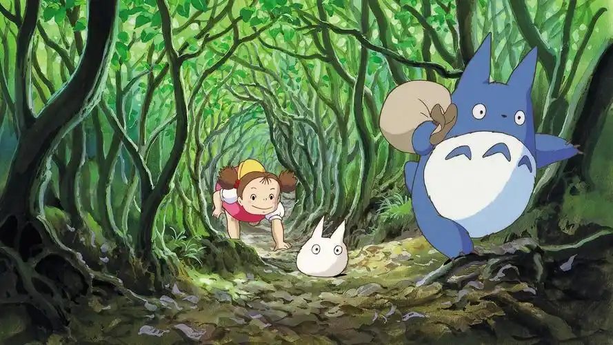 龙猫重映4天票房破亿宫老经典再现不朽魅力