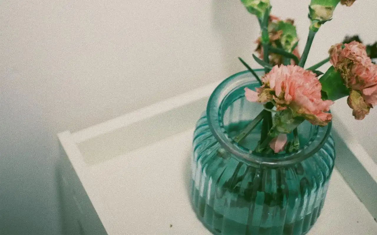 唯美意境静物摄影电脑桌面壁纸高清大图预览1920x1200_风格壁纸下载