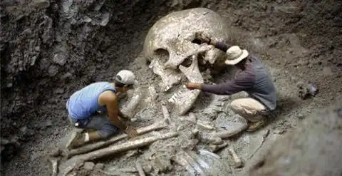 神秘世界身高5米的巨人骸骨