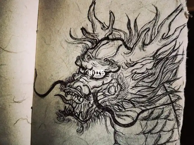 左边儿跟我一起画个龙