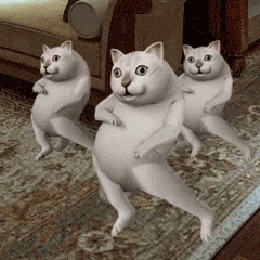 表情奇怪的知识增加了mur猫3d动态表情包