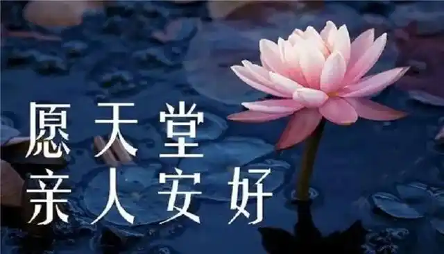 对已故亲人思念的话语