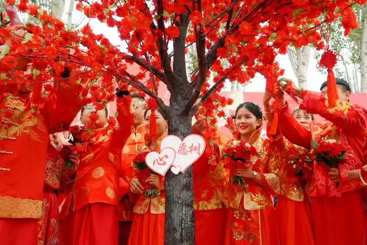 婚事简办喜事新办金凤区举办第五届移风易俗集体婚礼