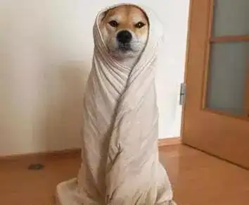 突然冷成狗今起气温狂降成都秒入冬更可怕的是