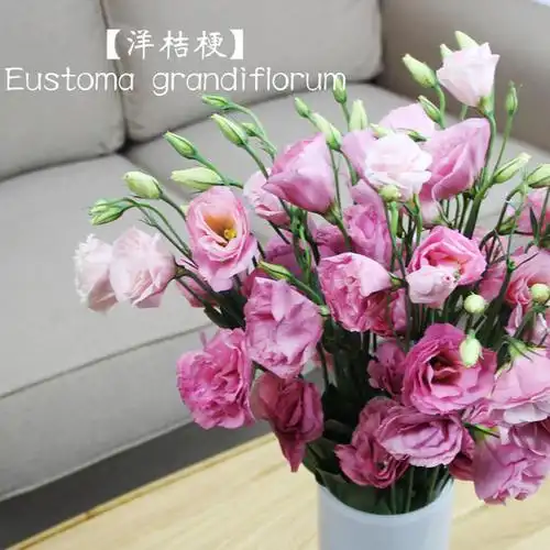 微信头像女风景带花草图8张2_情侣头像_表白图片网