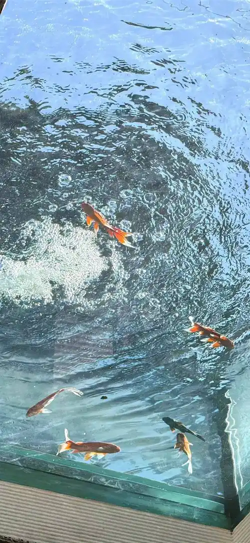 壁纸 | 高清全面屏锁屏壁纸