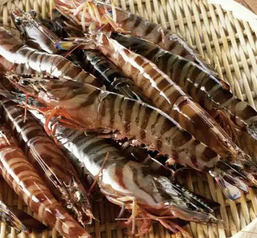 基围虾到底是什么虾?为什么南方买到的和北方买到的不一样呢?