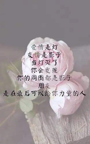 想起那些如流星般划过生命的爱情.我们常常会把彼此的错过归咎为缘分.