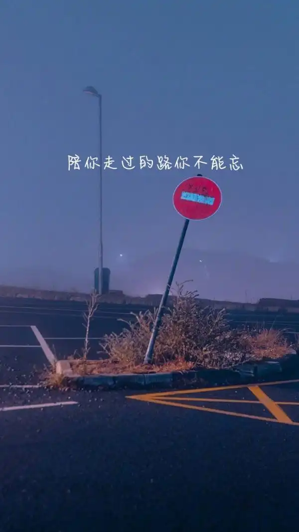 唯美图片带字伤感花落尽执何手