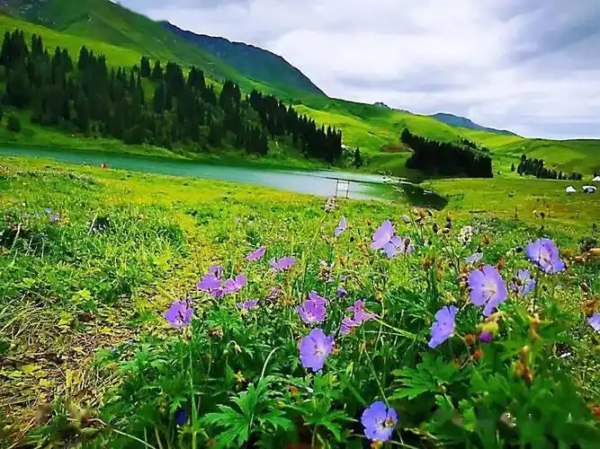 5月19日,26日伊犁赛里木湖昭苏国家湿地公园汽车三日游_伊宁市_旅游