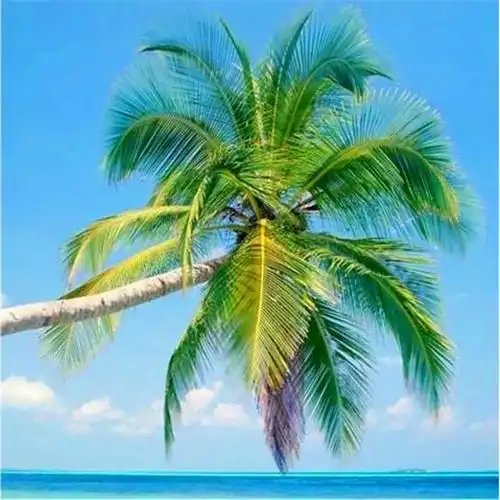 抖音图片最火头像风景